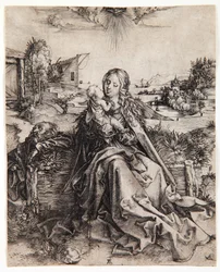 The Virgin with the Butterfly, c.1495